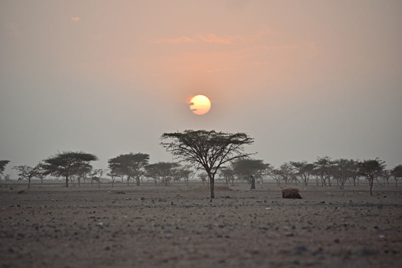 Фотографии рассветов и закатов