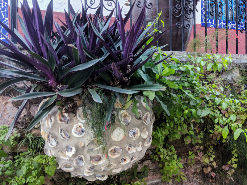 Puerto Vallarta, тихоокеанское побережье Мексики. Белое пятно на сайте Винского.