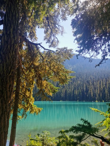 Joffre Lakes, BC. Один из самых красивых хайков Канады. Фото