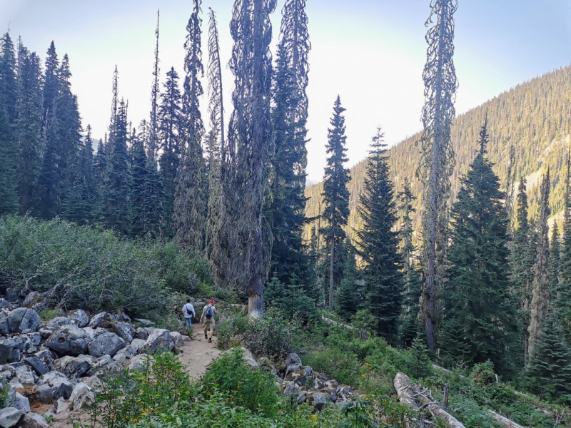 Joffre Lakes, BC. Один из самых красивых хайков Канады. Фото