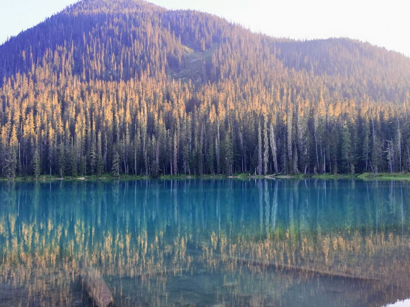 Joffre Lakes, BC. Один из самых красивых хайков Канады. Фото