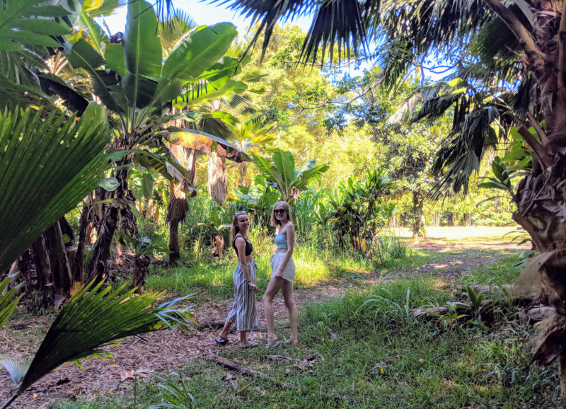 Остров Мауи, Гавайи. Сквозь препятствия и серпантины к красоте.