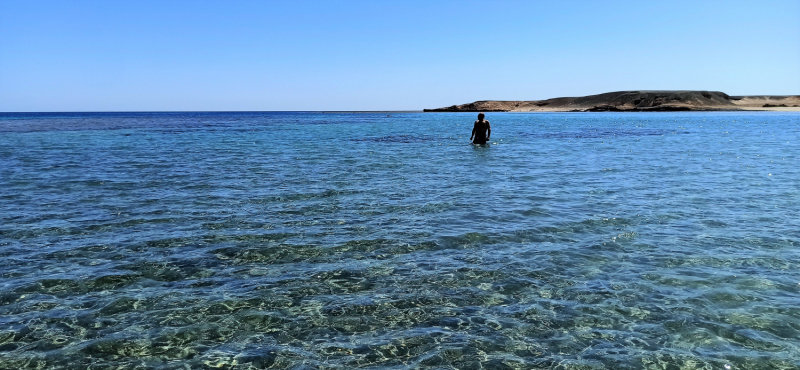 Побережье Красного моря