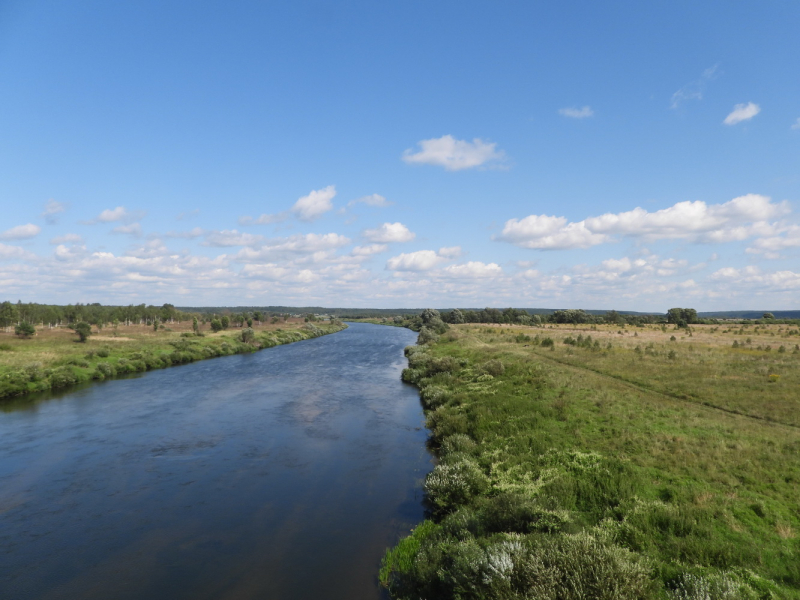 Калужская область-Национальный парк Угра (Галкинское болото, Галкинский лес, болото Бучкино и река Угра)