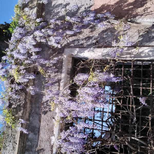 La mia vita. Римские записки, дневник онлайн