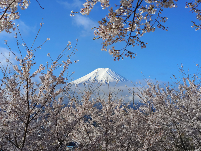 РНО
