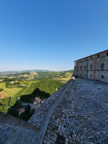 Arezzo