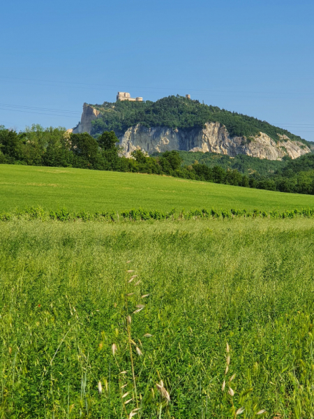 Arezzo