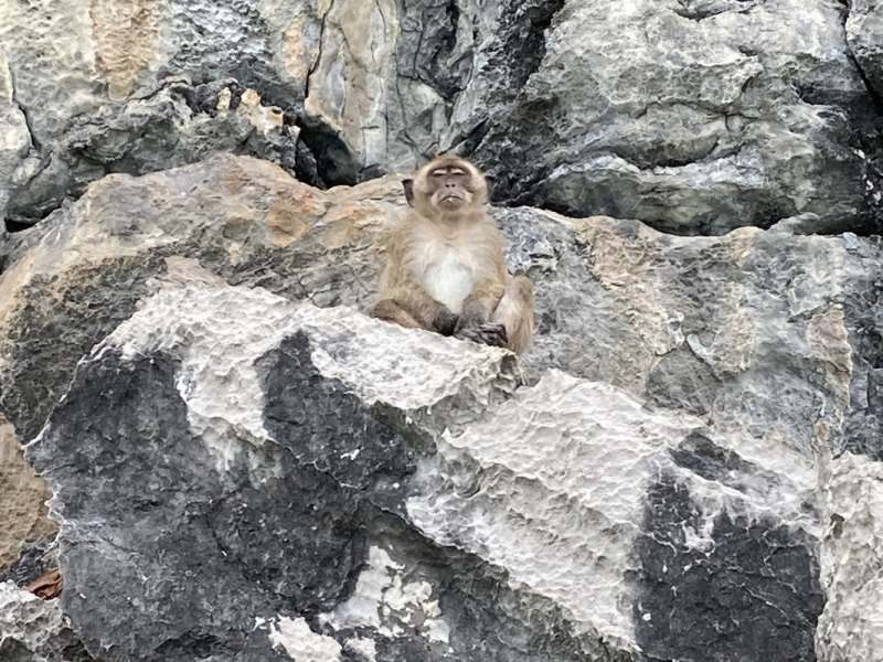 Две недели в Таиланде – это же, конечно, ни о чем. Немного Ко Липе, чуть-чуть озера Чео Лан, грамулька Пхи-Пхи. И капелюшка Малайзии (Куала-Лумпур).