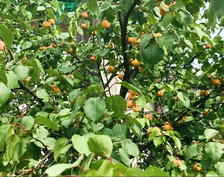 Переезд в Испанию с котиками-маскотиками или Навстречу ветру. Нулевой меридиан