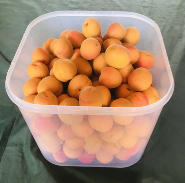 Переезд в Испанию с котиками-маскотиками или Навстречу ветру. Нулевой меридиан