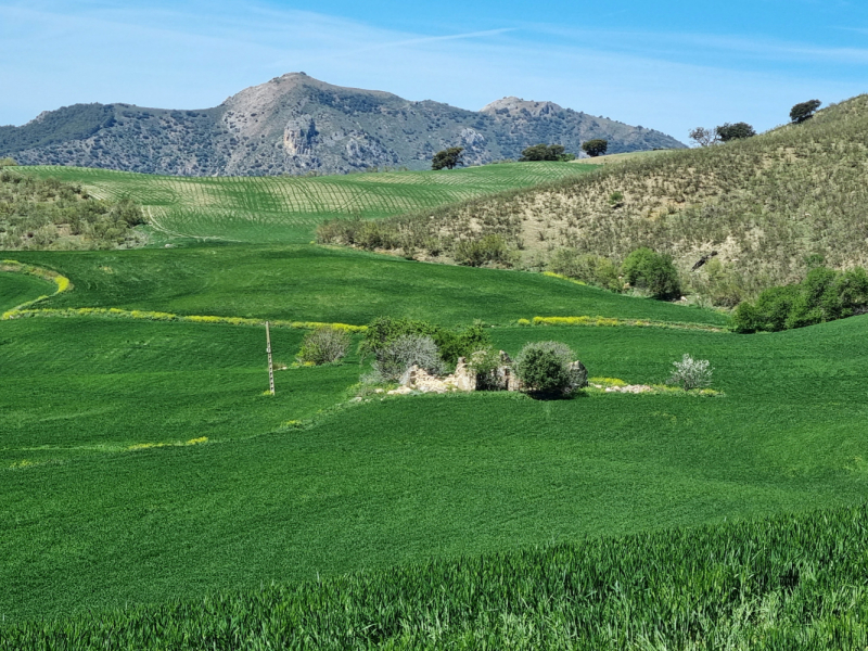 Весенняя Андалусия в неделю Семана Санта и Пасху. Начало апреля 2023.