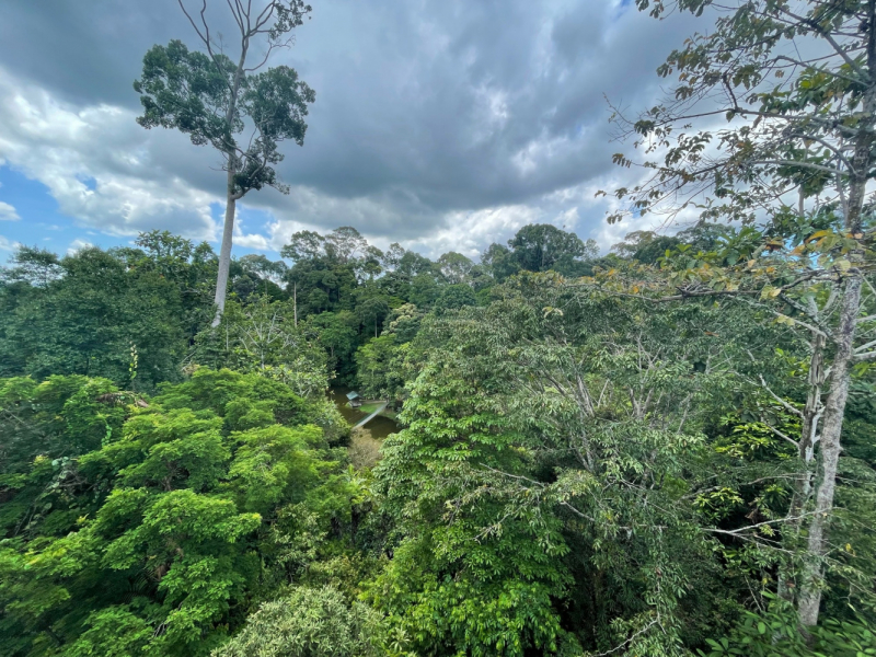 КК-Сандакан