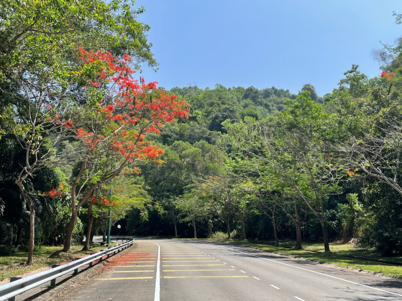 КК-Сандакан