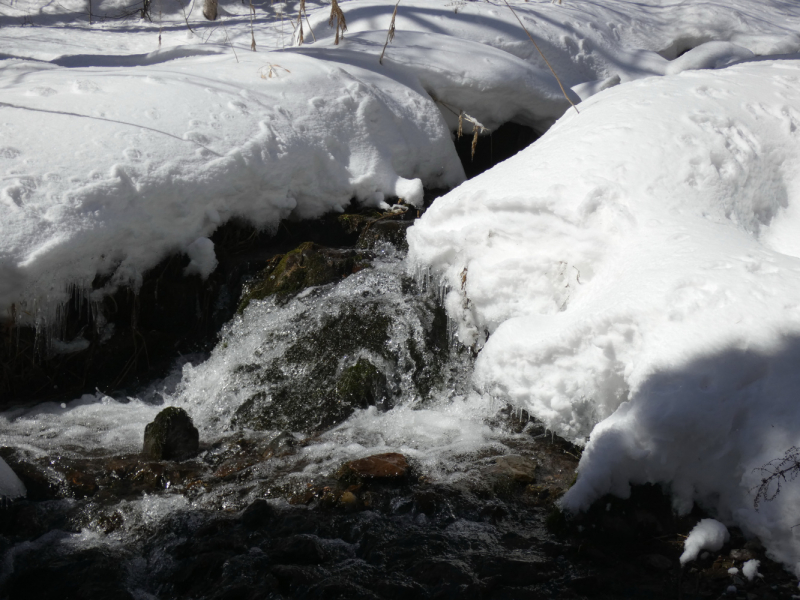 Отроги горы Шиш