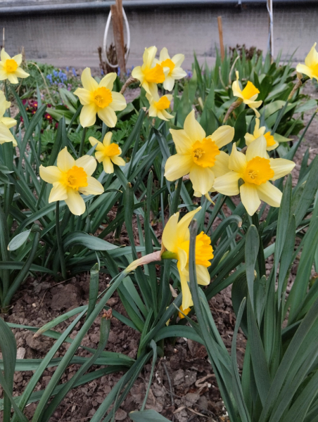 Переезд в Испанию с котиками-маскотиками или Навстречу ветру. Нулевой меридиан