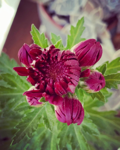 Переезд в Испанию с котиками-маскотиками или Навстречу ветру. Нулевой меридиан