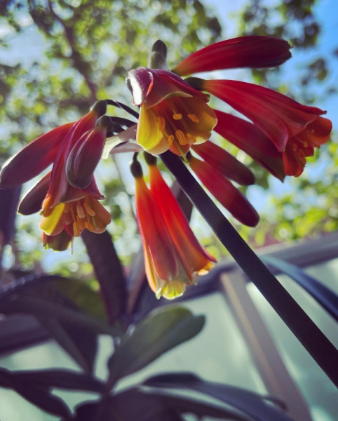 Переезд в Испанию с котиками-маскотиками или Навстречу ветру. Нулевой меридиан