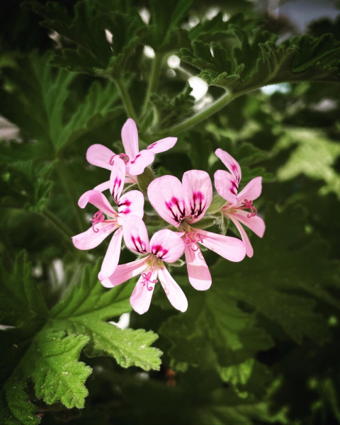 Переезд в Испанию с котиками-маскотиками или Навстречу ветру. Нулевой меридиан