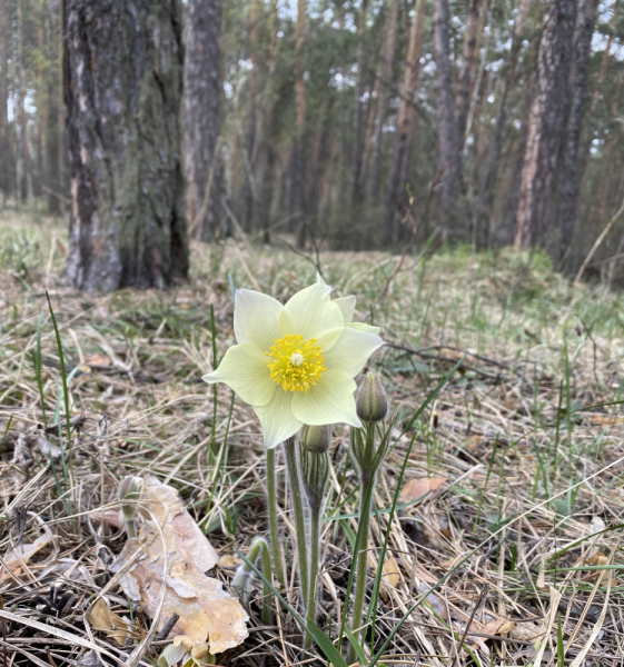 Переезд в Испанию с котиками-маскотиками или Навстречу ветру. Нулевой меридиан