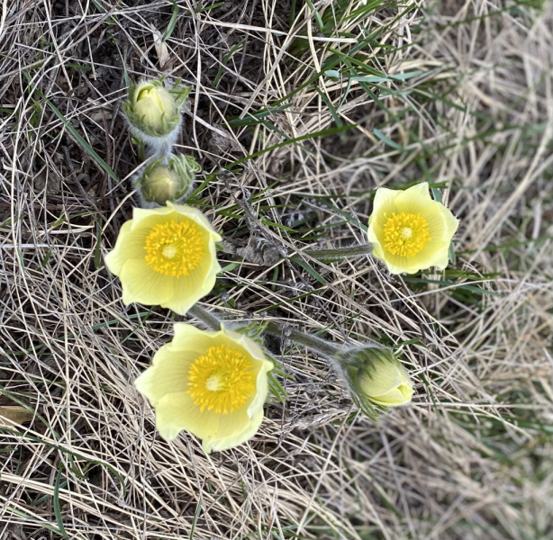 Переезд в Испанию с котиками-маскотиками или Навстречу ветру. Нулевой меридиан