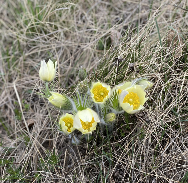 Переезд в Испанию с котиками-маскотиками или Навстречу ветру. Нулевой меридиан