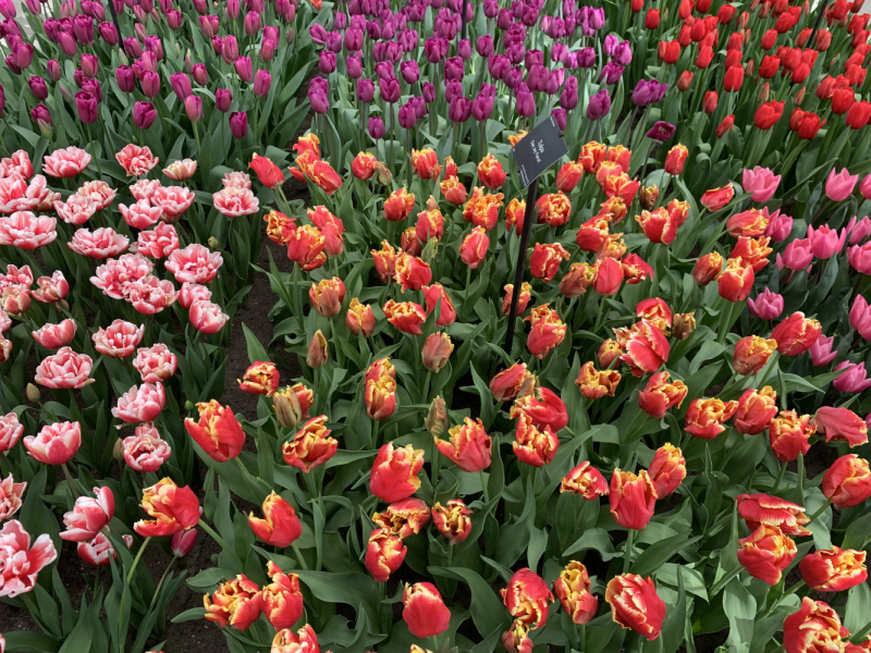 Переезд в Испанию с котиками-маскотиками или Навстречу ветру. Нулевой меридиан