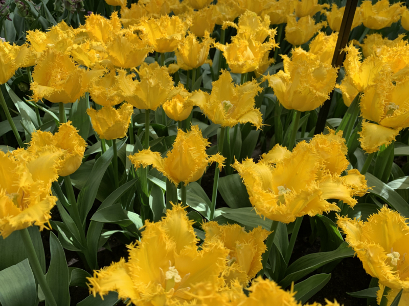 Переезд в Испанию с котиками-маскотиками или Навстречу ветру. Нулевой меридиан