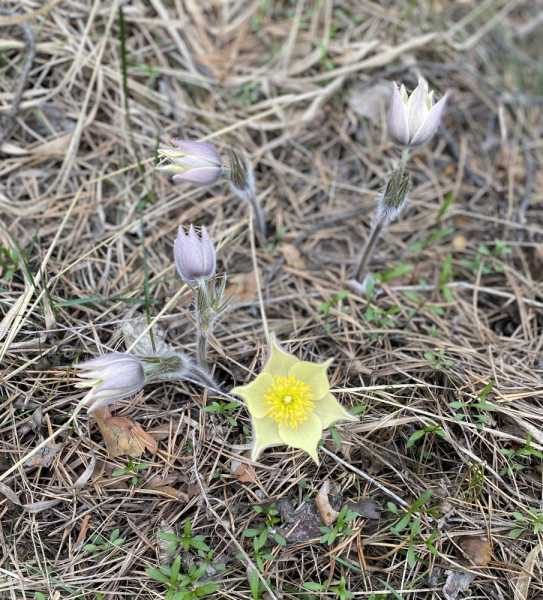 Переезд в Испанию с котиками-маскотиками или Навстречу ветру. Нулевой меридиан