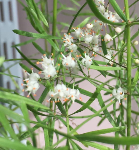 Переезд в Испанию с котиками-маскотиками или Навстречу ветру. Нулевой меридиан