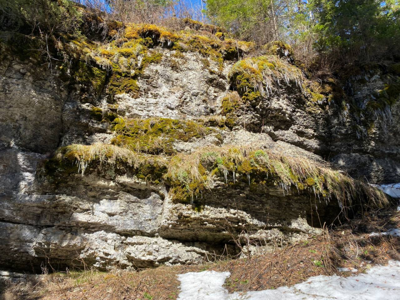 Свободное путешествие (пока по России)