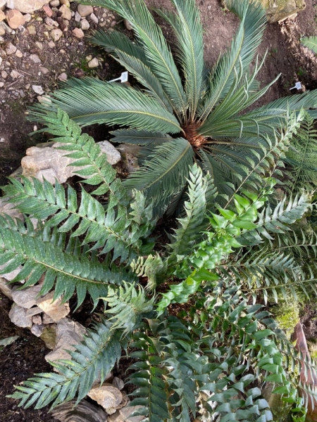 Свободное путешествие (пока по России)