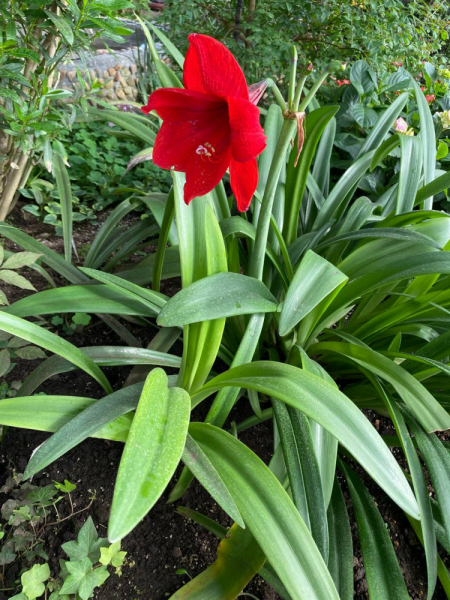 Свободное путешествие (пока по России)