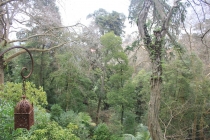 Лиссабон, Кашкайш, Синтра, Алмада, Порто (Февраль 2011)