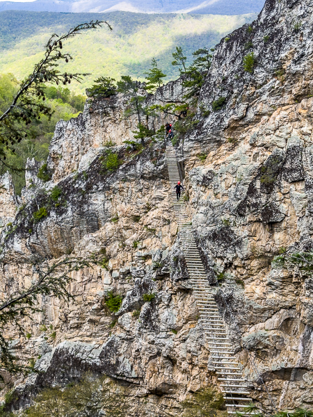 West Virginia в конце апреля. Холодно. Мокро. Прекрасно. West Virginia в конце апреля. Холодно. Мокро. Прекрасно.