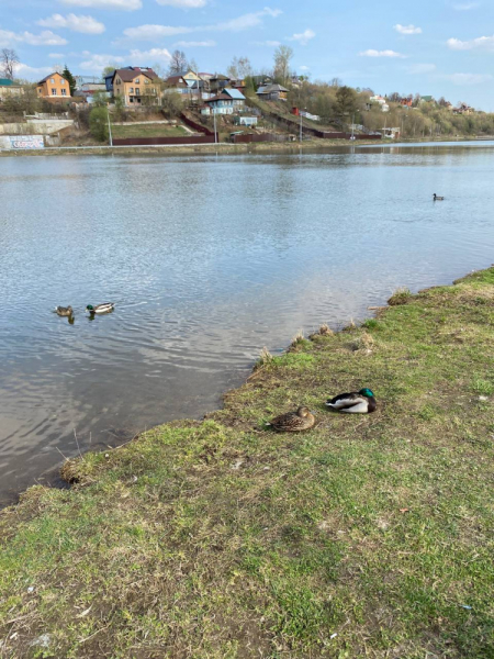 Свободное путешествие (пока по России)