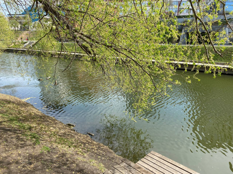 Свободное путешествие (пока по России)