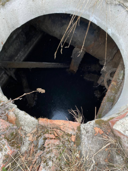 Свободное путешествие (пока по России)