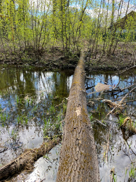 Свободное путешествие (пока по России)