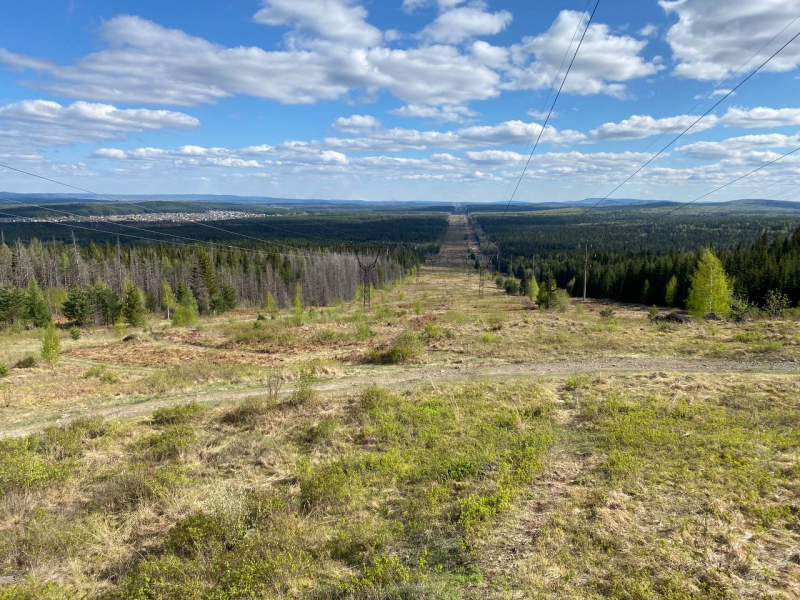 Свободное путешествие (пока по России)