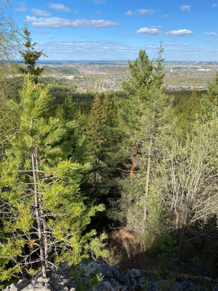 Свободное путешествие (пока по России)