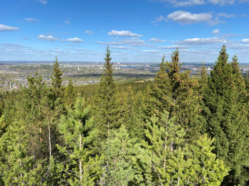 Свободное путешествие (пока по России)