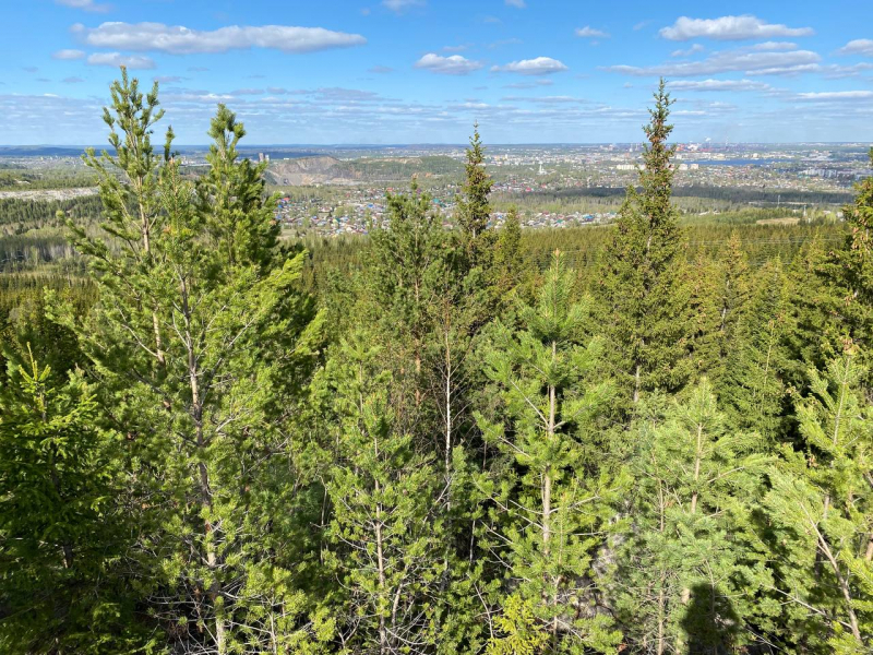 Свободное путешествие (пока по России)