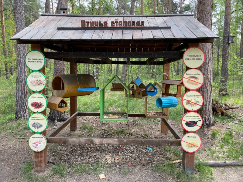 Свободное путешествие (пока по России)