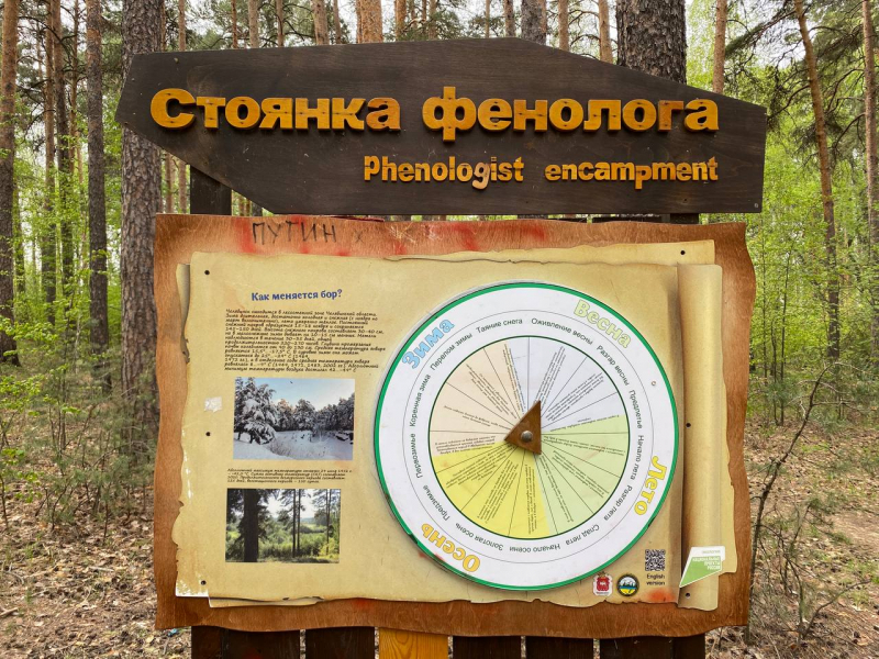 Свободное путешествие (пока по России)