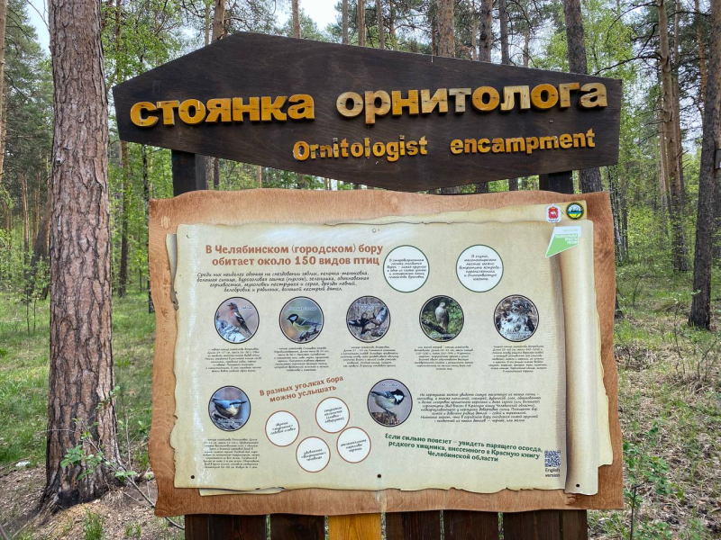 Свободное путешествие (пока по России)