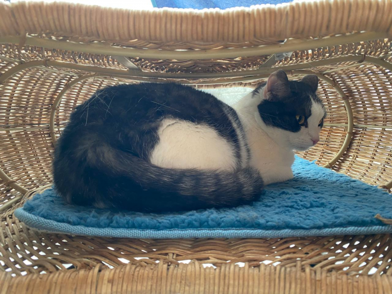 Свободное путешествие (пока по России)