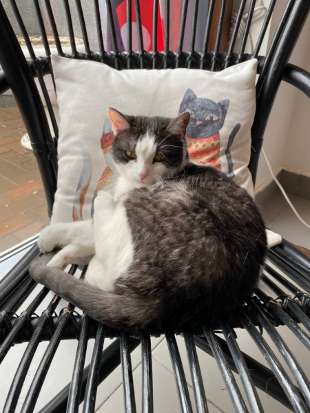 Свободное путешествие (пока по России)