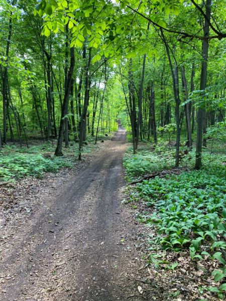 Свободное путешествие (пока по России)