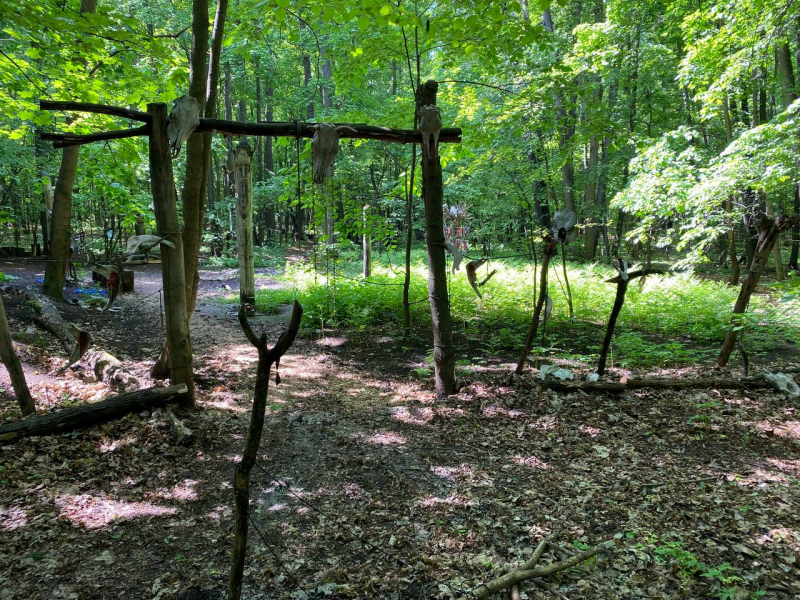 Свободное путешествие (пока по России)